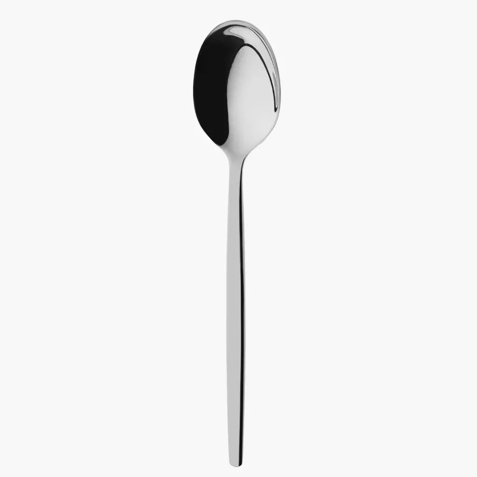 Stainless Steel Teaspoon - Set of Twelve
